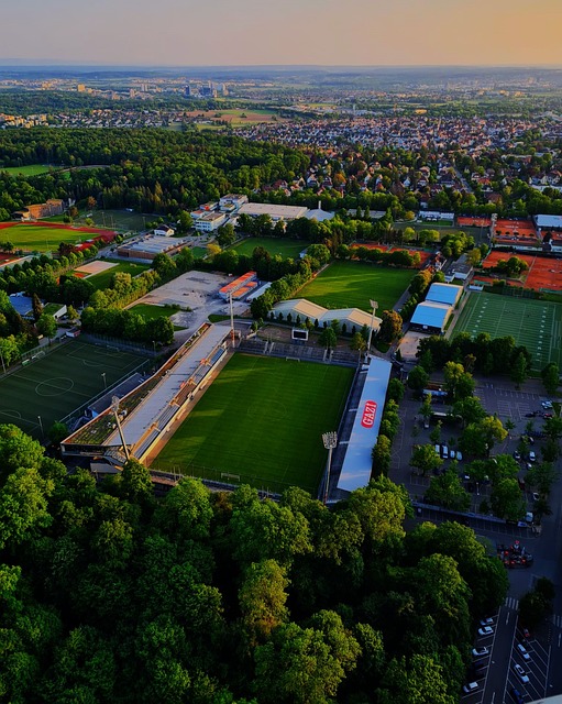 的人共同期 的人共同期