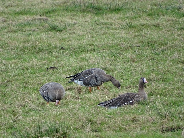 看到精彩篮 看到精彩篮